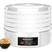 5 Tier Food Dehydrator with Adjustable Temperature & Timer Control