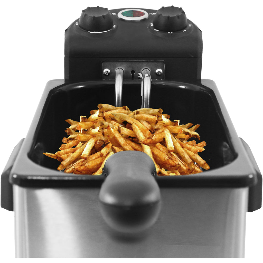 Electric Immersion Deep Fryer with french fries