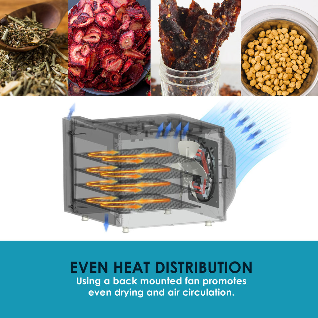Even Heat Distribution.  Using a back mounted fan promotes even drying and air circulation.  3D Graphic rendering of air circulation and flow. Plus images of dried herbs, fruit, jerky and nuts.