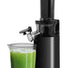 16Oz Compact Masticating Slow Juicer with celery juice.