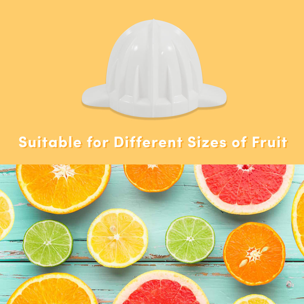 Suitable for Different Sizes of Fruits. Various slices of citrus and cone part of citrus orange juicer.
